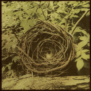 The Reptilian - End Paths