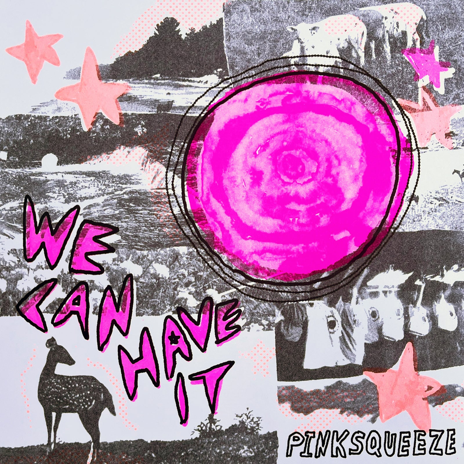 Pinksqueeze - We Can Have It